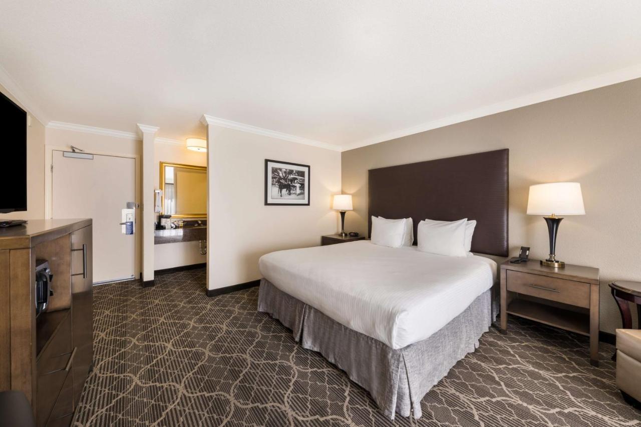 Hotel Western Sycamore
