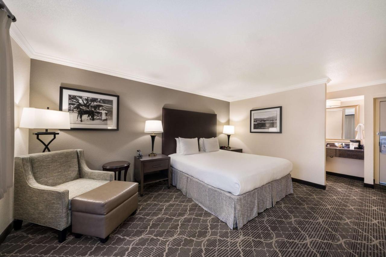 Western Sycamore Hotel 3*