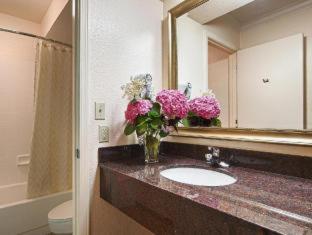 Western Sycamore Hotel
