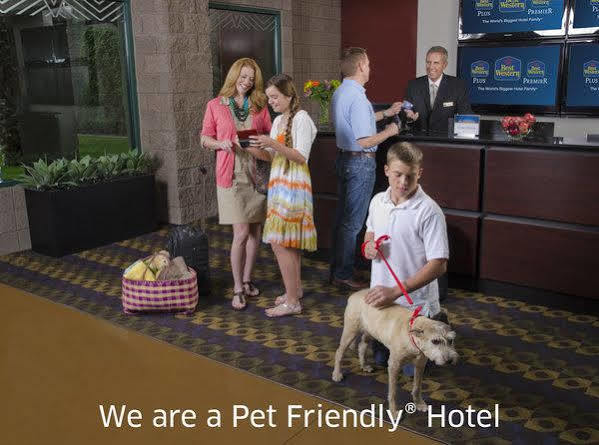 Western Sycamore Hotel 3*